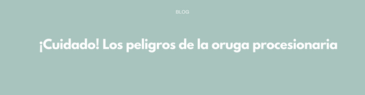 ¡Cuidado! Los peligros de la oruga procesionaria
