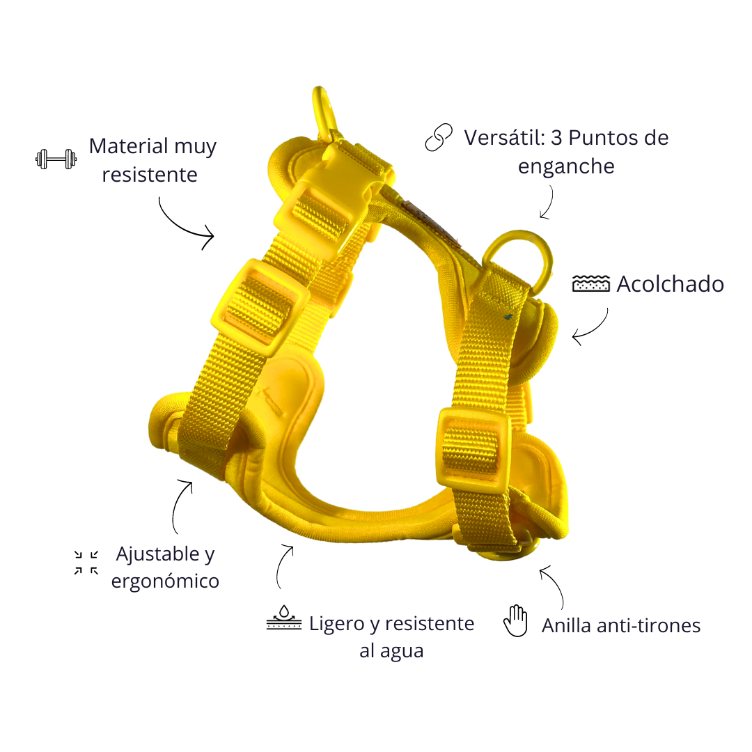 Arnés Adventure Beach