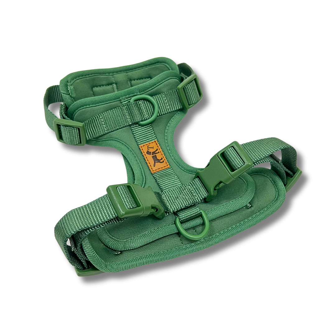 Arnés Adventure Jungle