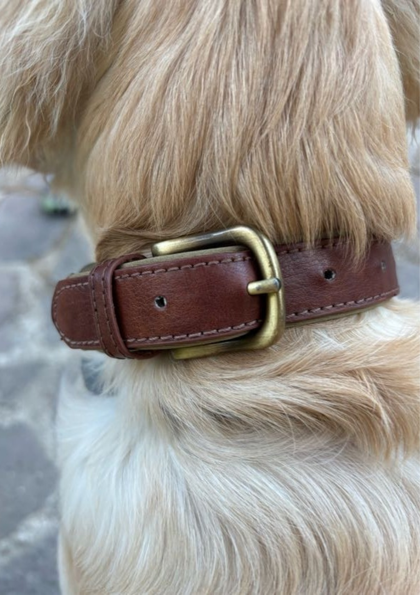 Collar Elegance