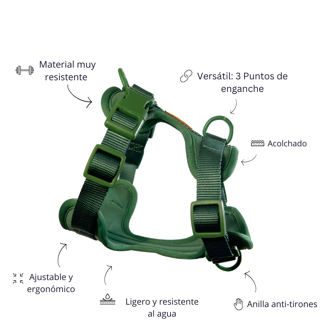 Arnés Adventure Jungle