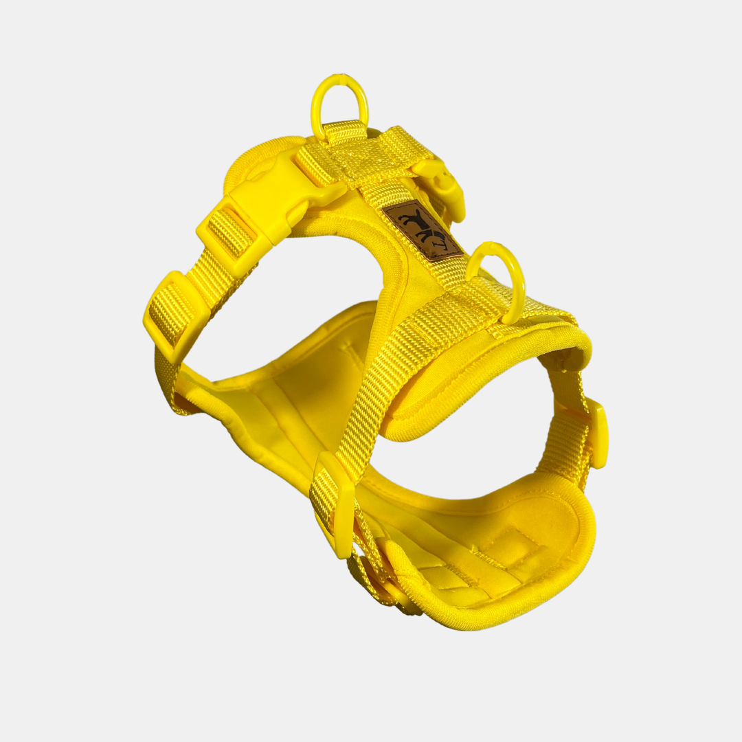 Arnés Adventure Beach