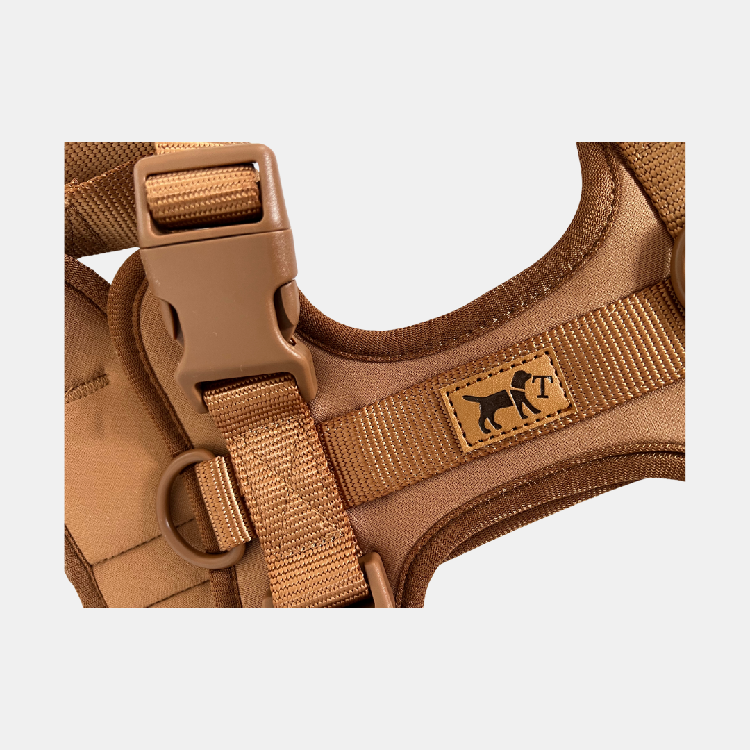 Kit de Paseo Adventure Desert