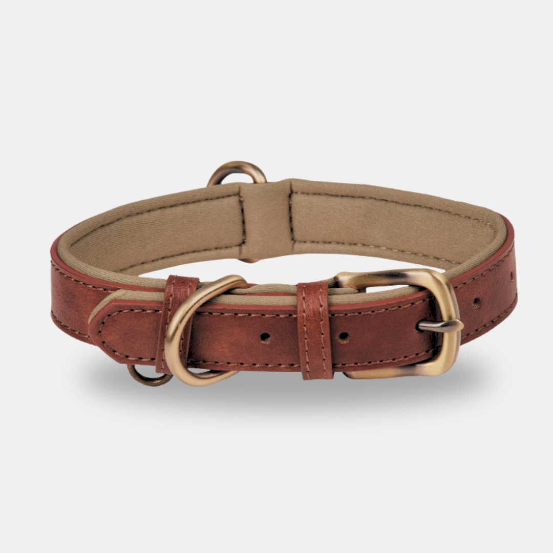 Collar_cuero_sintetico_para perros modelo elegance la casa de turron