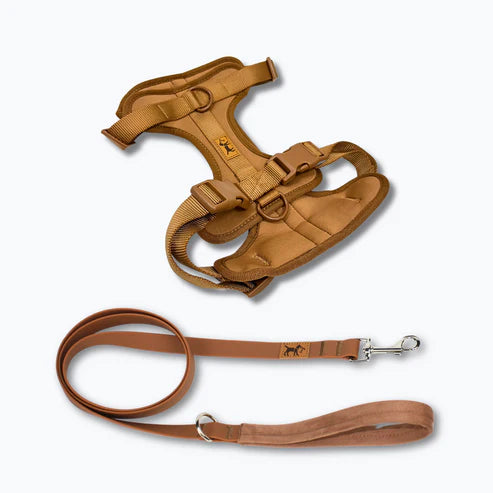 Kit_de_paseo_marron.webp
