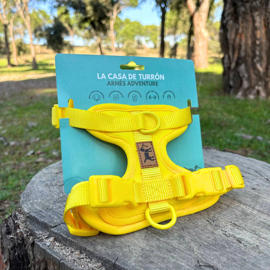 Arnés Adventure Beach