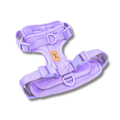 Arnés Adventure Lavender