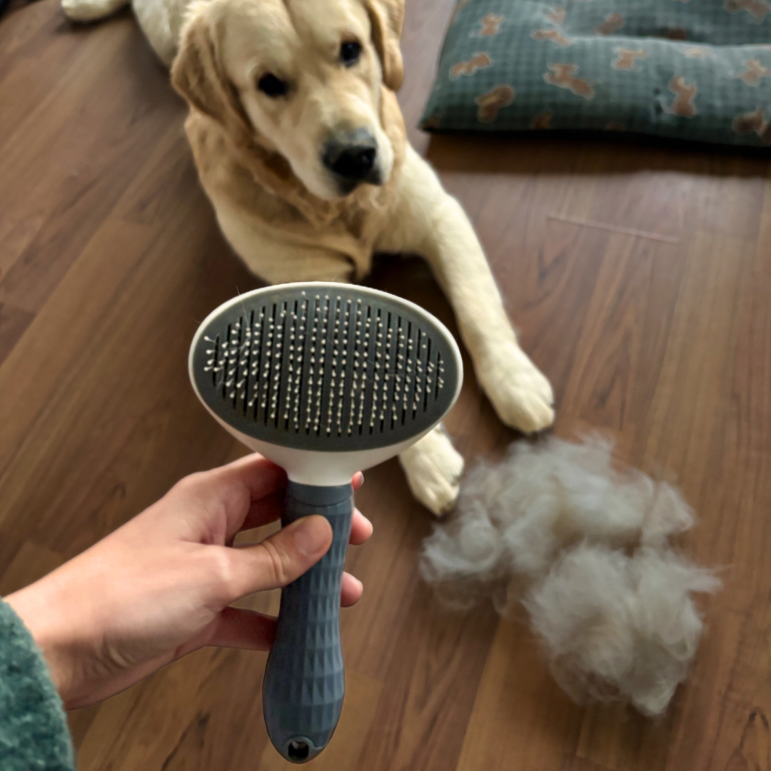 Cepillo con autolimpiado