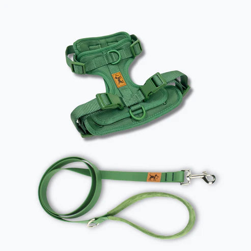 kit_de_paseo_verde.webp