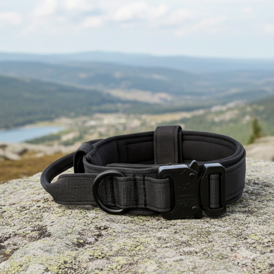 Collar Tactical Pro